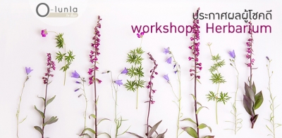 ประกาศผลผู้โชคดี Workshop : Herbarium